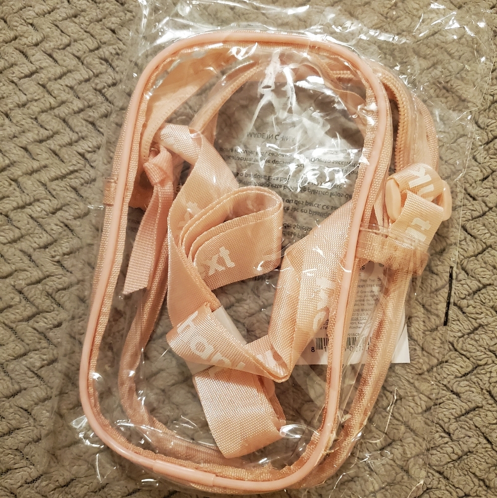 Ariana Grande purse